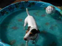 DSCN0712.webp