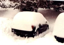 snow covered P5.webp