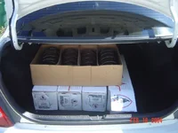 trunk.webp