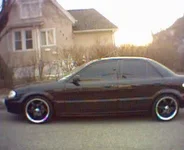 whip.webp