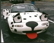 miatapic.webp