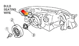 bulb.webp
