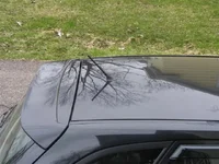Antenna after 1 (Small).webp
