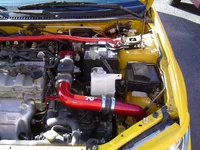 CAI 3.webp