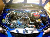 HIN2007 081 (Medium).webp