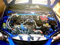 HIN2007 081 (Medium).webp