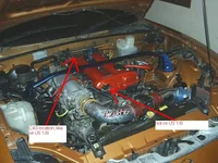 fordred.webp
