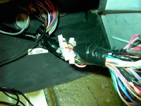 ecu1.webp