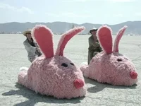 bunny-slippers.webp