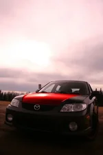 Modified Hood(small)4.webp