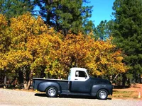 Copy of Oct 2007 065 (Medium).webp