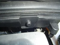 DSC00330.webp