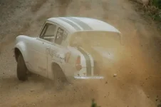 glenbervi forest 131.webp