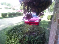 PIC-0033.webp