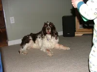 DSCF2518.webp