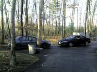 the whips 2.webp