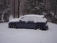mazdaseed3 001.webp