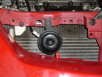 P5 - Stock Horn.webp