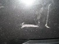bumper.webp