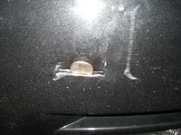 bumper1.webp