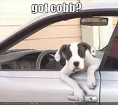 gotcobb1284435793165625pp8.webp