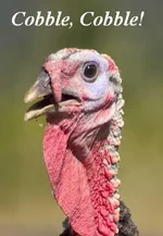 turkey.webp