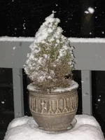 IMG_8936 (Large).webp