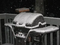 IMG_8937 (Large).webp