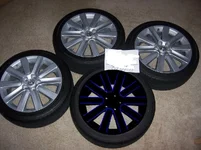blue true stock no ring.webp