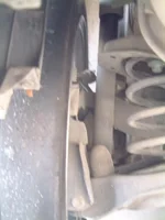 Rear_Inner.webp