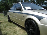 Picture 181.webp Picture 181.webp