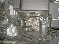 P1150230.webp