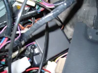 P1000430.webp