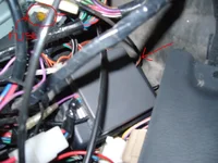 P1000430.webp