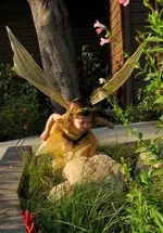 IMG_2819 (Small).webp