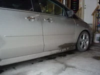 IMGP2737.webp