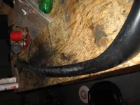 IMG_1190 (Large).webp