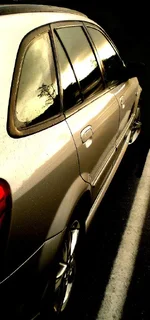CIMG0149.webp