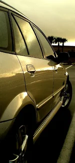 CIMG0151.webp