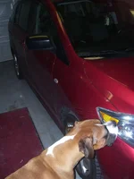100_1002.webp