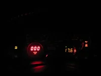 IMG_0317.webp