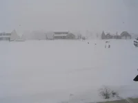 IMG_4155 (Large).webp