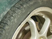 IMGP0007.webp