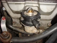 DSC00899a.webp
