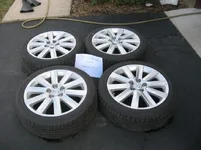 IMG_0243_1.webp