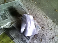 PIC-0240.webp
