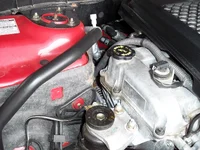 100_0903.webp