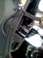 photo1.webp