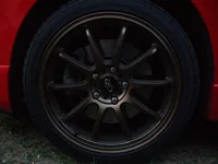 P1020647.webp