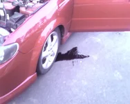 oil.webp
